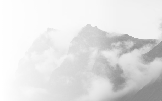 Bosera Insights